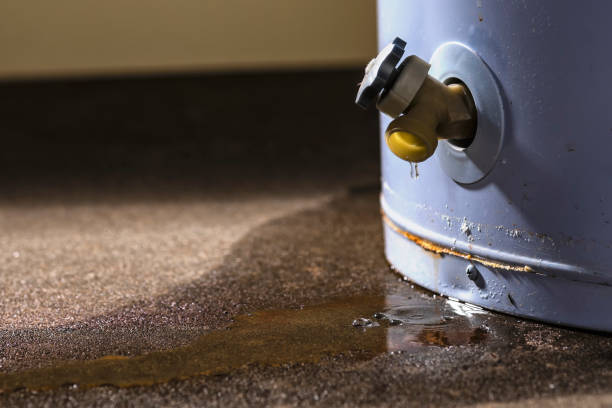 Best Water damage restoration near me  in Harrisville, WV