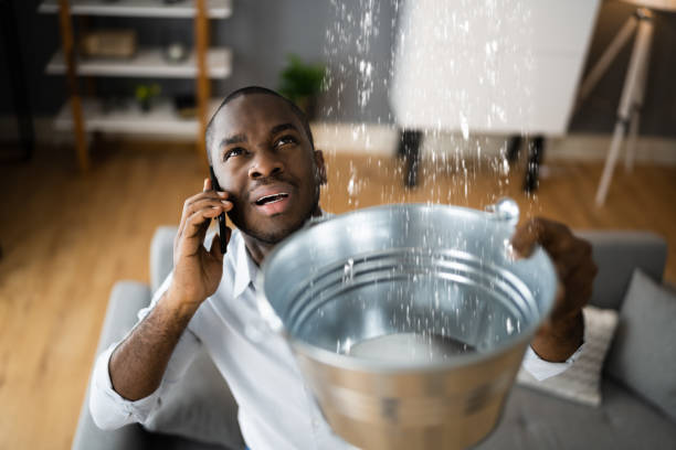 Best Water damage cleanup near me  in Harrisville, WV