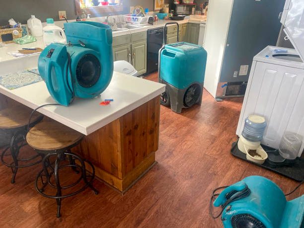 Best Emergency water damage restoration  in Harrisville, WV