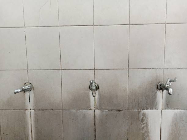 Best Commercial water damage restoration  in Harrisville, WV