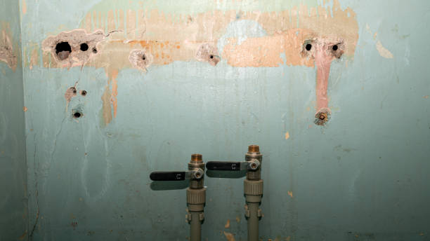 Professional Water damage restoration in Harrisville, WV
