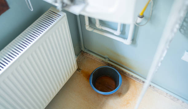 Best Local water damage restoration  in Harrisville, WV