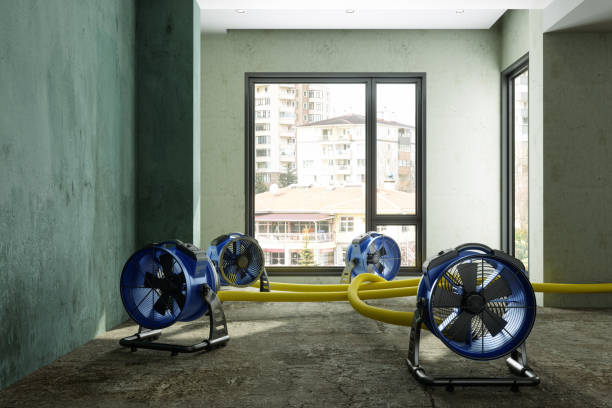 Best Ceiling water damage repair  in Harrisville, WV